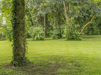 Image showing idyllic park scenery