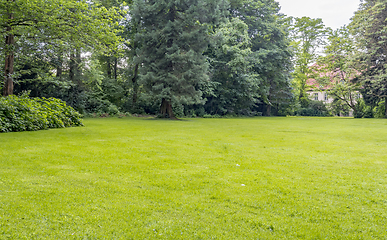 Image showing idyllic park scenery