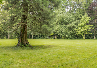 Image showing idyllic park scenery