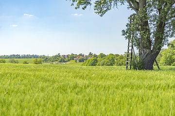 Image showing rural springtime scenery