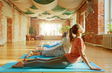 Image showing group of people doing yoga cobra pose at studio