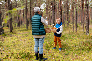 Image showing grandmother photographing grandson with mushrooms