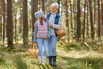 Image showing grandmother and granddaughter picking mushrooms