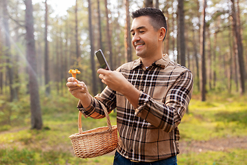 Image showing man using smartphone to identify mushroom