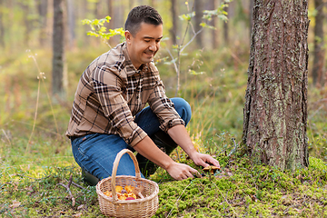 Image showing happy man with basket picking mushrooms in forest