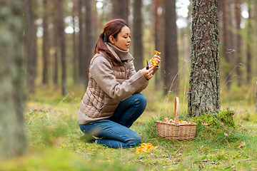 Image showing young woman picking mushrooms in autumn forest