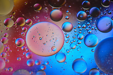 Image showing Multicolored abstract defocused background picture made with oil, water and soap