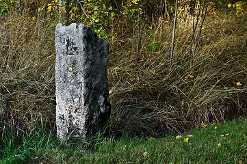 Image showing granite boundary stone in the forest