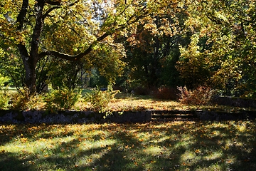 Image showing autumn trees on a sunny day