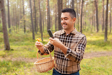 Image showing man using smartphone to identify mushroom