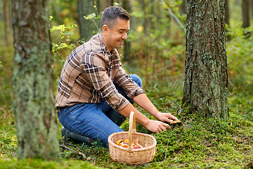 Image showing happy man with basket picking mushrooms in forest