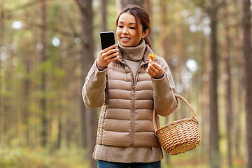 Image showing asian woman using smartphone to identify mushroom