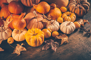 Image showing Assortment of pumpkins with autumn leaves on wooden background