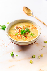 Image showing Delicious homemade leek soup with minced meat and chili