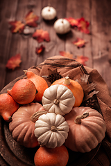 Image showing Autumn still life with assorted pumpkins on wooden surface in vintage style