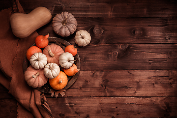 Image showing Autumn still life with assorted pumpkins on wooden surface with copy space