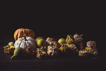 Image showing Rotten pumpkins after Thanksgiving and Halloween