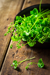 Image showing Organic Winter Purslane prepared for salad