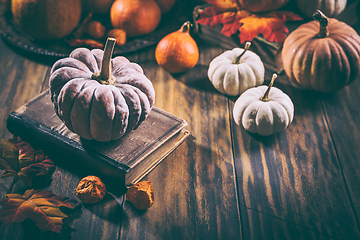 Image showing Rustic autumn still life with different pumpkins on wooden surface in vintage style