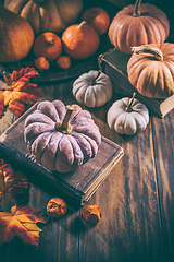 Image showing Rustic autumn still life with different pumpkins on wooden surface in vintage style