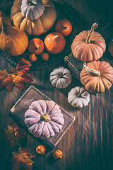 Image showing Rustic autumn still life with different pumpkins on wooden surfa