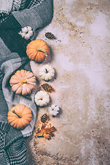 Image showing Happy Thanksgiving concept. Autumn composition with ripe pumpkin