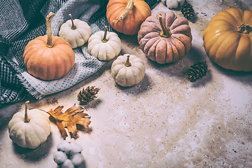 Image showing Happy Thanksgiving concept. Autumn composition with ripe pumpkins, fallen leaves, dry flowers, blanket 