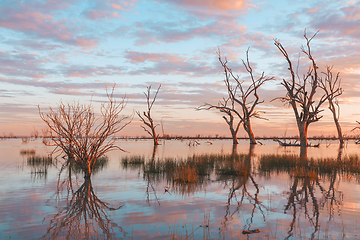 Image showing Lake sunsets