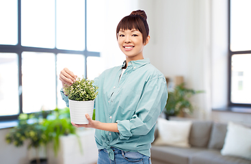 Image showing happy smiling asian woman holding flower in pot