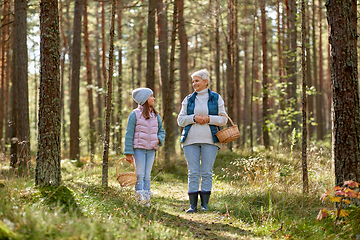 Image showing grandmother and granddaughter picking mushrooms