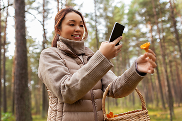 Image showing asian woman using smartphone to identify mushroom