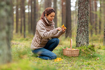 Image showing young woman picking mushrooms in autumn forest