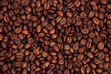 Image showing Coffee beans background