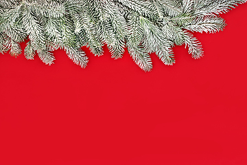 Image showing Christmas Winter Fir and Snow Red Background Border  