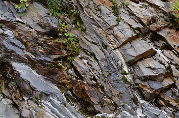 Image showing Dark diagonal granite rock layers with some vegetation