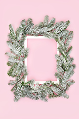 Image showing Christmas Winter New Year Snow Fir Pink Background 