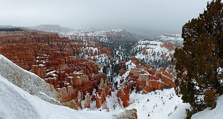 Image showing Panorama of Bryce Canyon on cloudy winter day