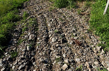 Image showing Texture of the brown soil with pebbles in the vineyard row in Kakheti, Georgia