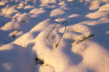 Image showing Drifts from snow