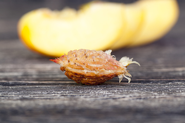 Image showing one bone of ripe peach