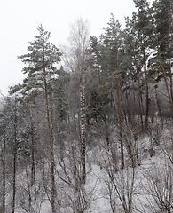 Image showing Snow drifts in winter