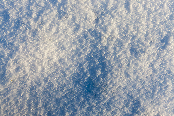 Image showing After snowfall