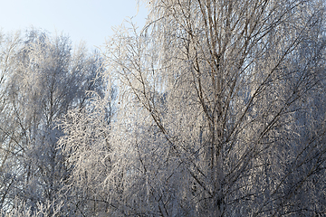 Image showing winter landscape