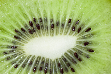 Image showing ripe green kiwi