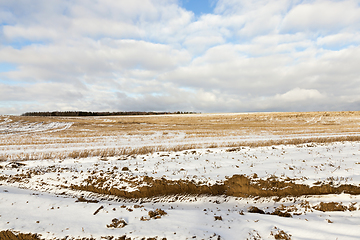 Image showing Field under the snow, winter