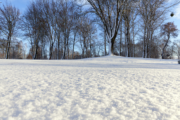 Image showing Snow drifts in winter