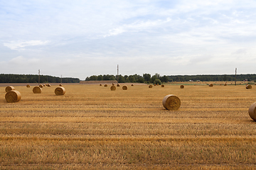 Image showing cylindrical shape of straw stacks