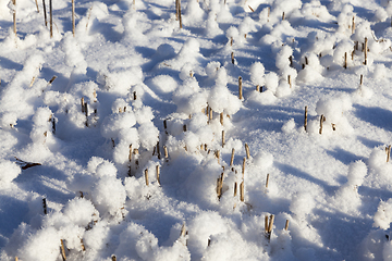 Image showing Snow drifts in winter