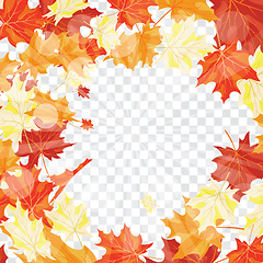 Image showing Maple leaves on transparency grid