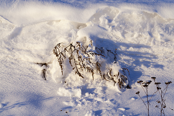 Image showing After snowfall